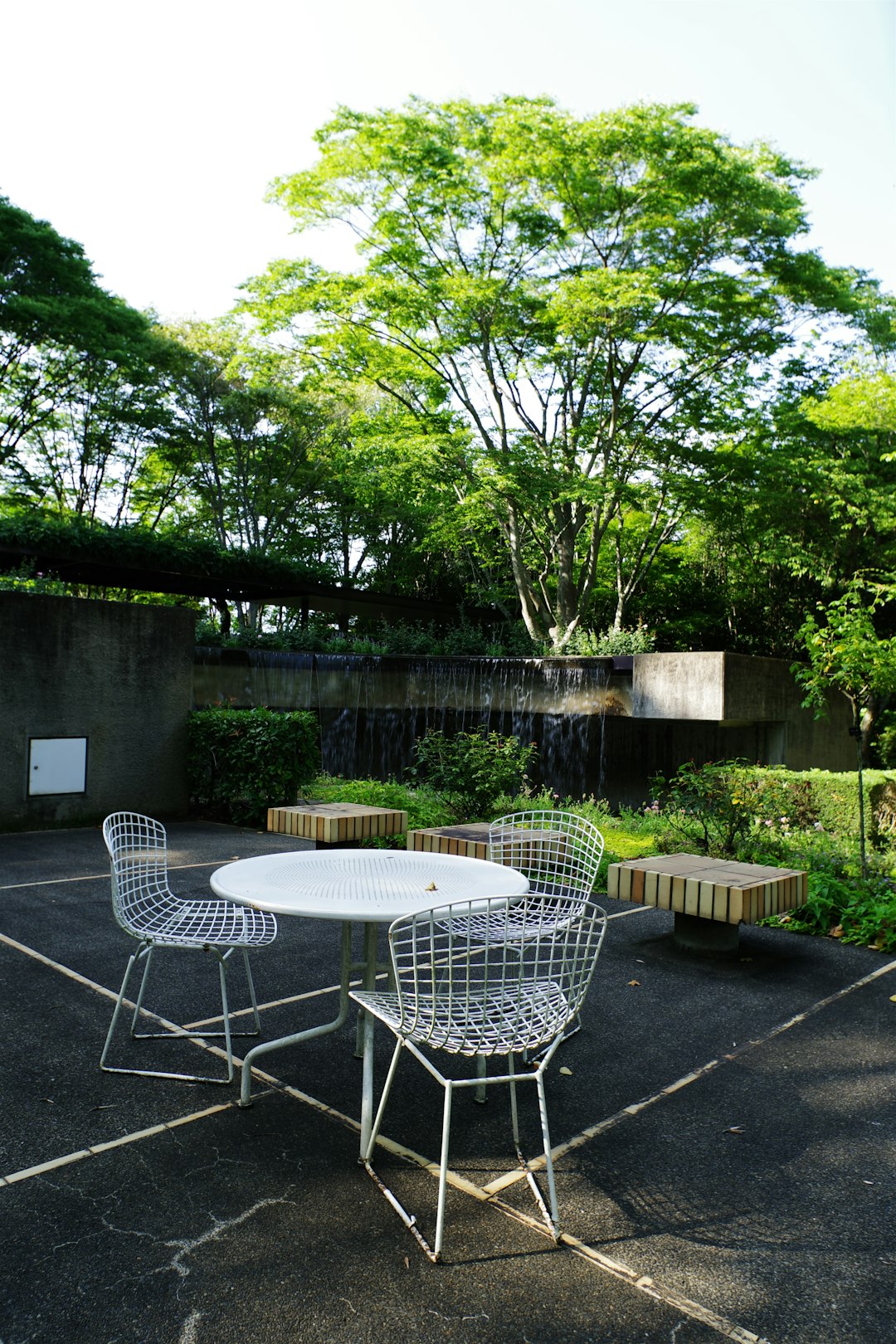 Urban Garden Oasis
